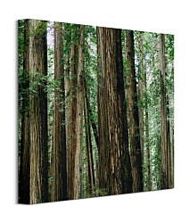 Crescent Woods - obraz CKS3725