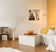 Obraz na plátne Hnedý švajčiarsky kôň - Andres Raphael CKS3782
