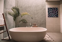 Cactus - obraz, Espanioly Yousef CKS3792