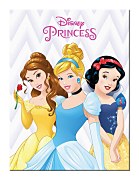 Disney Princess (Belle, Cinderella And Snow White) - Obraz  WDC92705