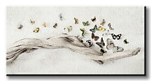 Drift of Butterflies - Obraz WDC44479