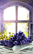 Fototapeta Vintage lavender window 33168336 - samolepiaca na stenu