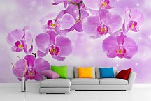 Fototapeta Orchidea 24430 - vinylová