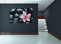 Kameň a Orchidea - fototapeta FT666