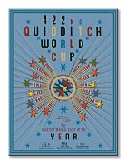 Harry Potter (Quidditch World Cup) - Obraz WDC99434