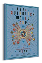 Harry Potter (Quidditch World Cup) - Obraz WDC99434
