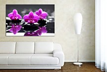 Kvetinový obraz s orchideou zs29166