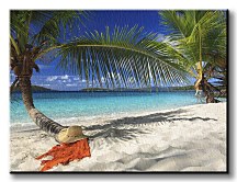 Na tropickom ostrove - Obraz CD0450