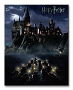 Harry Potter (Hogwarts School) - Obraz WDC94238