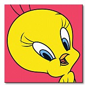 Looney Tunes (Tweety) - Obraz WDC95122