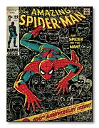 Spider-Man (100th Anniversary) - Obraz WDC90408