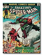 Spider-Man (Green Goblin) - Obraz WDC90445