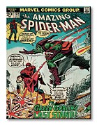Spider-Man (Green Goblin) - Obraz WDC92205