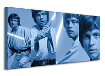 Star Wars (Luke Skywalker Pose) - Obraz WDC93060