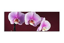 Obraz Orchidea Panoráma zs18533