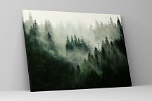 Obraz Stromy v hmle zs1051