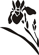 Orchidea - šablóna na maľovanie  FL5-170