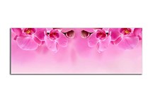 Panoramaticky obraz Orchidea zs267