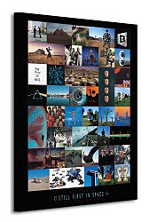 Pink Floyd (Anniversary) - Obraz WDC90275