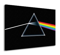 Pink FLoyd (Dark Side Of The Moon) - Obraz WDC90277