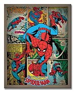 Spiderman (Retro) - Obraz WDC94595