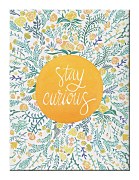 Stay Curious - Obraz WDC92757
