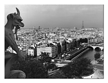 View From Notre-Dame, Paris - Obraz na płótnie WDC92770