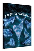 Harry Potter (Patronus) - obraz WDC100002