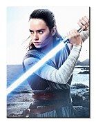 Star Wars: The Last Jedi (Rey Engage) - obraz WDC100179