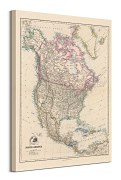 Obraz ako mapa na plátne Severná Amerika Stanfords1884 - WDC100335