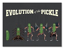 Obraz zo seriálu Rick and Morty Evolution Of The Pickle WDC100464