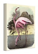 Vintage Flamingos - obraz Piddix WDC92906