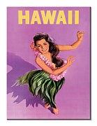 Hawaii - obraz Piddix WDC92928