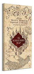Harry Potter (The Marauders Map) - Obraz WDC93235