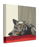 Paws - obraz Burns Julia WDC95886