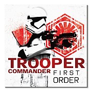Star Wars: The Last Jedi (Trooper Commander First Order) - obraz WDC95952