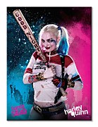 Suicide Squad (Harley Quinn) - Obraz WDC99692