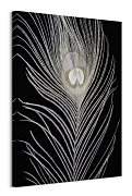 White Peacock Feather - obraz WDC99889