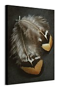Pierka obraz - Pheasant Feather Duo - Fennell Alyson WDC99891