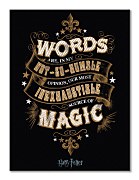 Obraz z filmu Harry Potter Words - obraz WDC99903