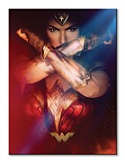 Wonder Woman (Power)  - obraz WDC99962