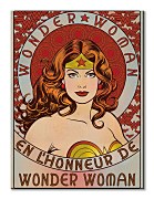 Obraz - Wonder Woman (En L'Honneur) WDC99977