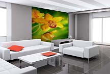 Zelené tapety - Kvety 4679 - samolepiaca na stenu