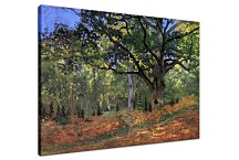 Reprodukcie Claude Monet - The Bodmer oak Fontainbleau forest zs10329