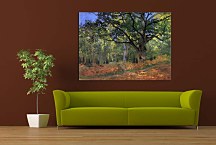 Reprodukcie Claude Monet - The Bodmer oak Fontainbleau forest zs10329