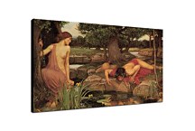 Obrazy John William Waterhouse - Echo and Narcissus zs10397