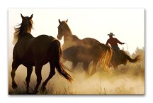 Obrazy Zvieratá - Stádo koní zs110