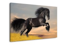 Obraz Čierny Kôň zs128