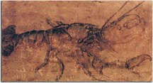 Albrecht Dürer Reprodukcie - A lobster zs16510