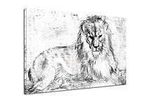 Lion 2 Obraz zs16550